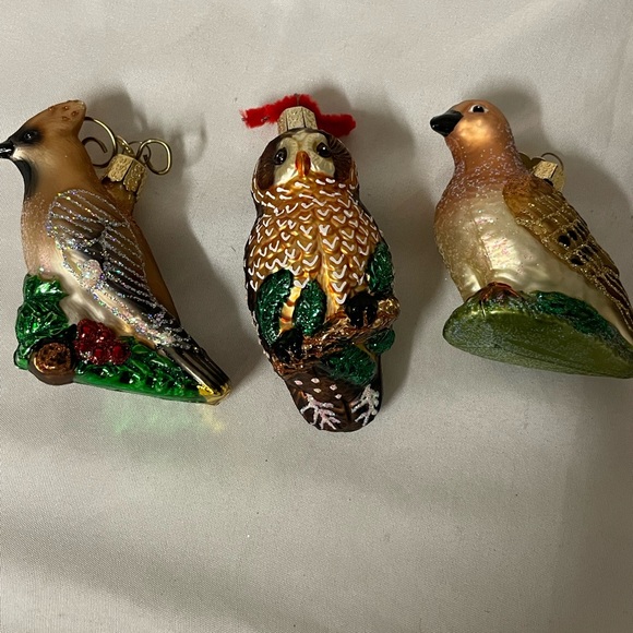 Set of 3 Old World Christmas Glass Ornament:Tree Spotted‎ Owl & Two Birds - Picture 1 of 12
